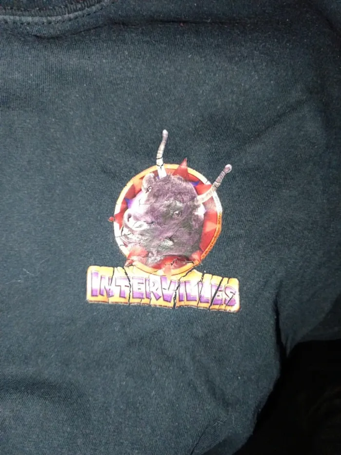 Tee-shirt L - photo numéro 2