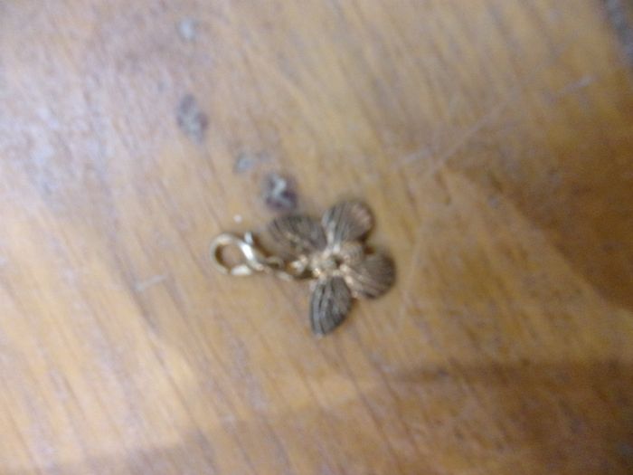 Porte clef papillon doré