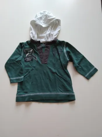 tee shirt manches longues avec capuche garcon 12 mois