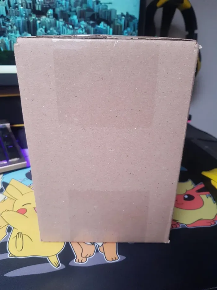 Case de 12 tripacks flammes fantasmagoriques ME02 - photo numéro 3