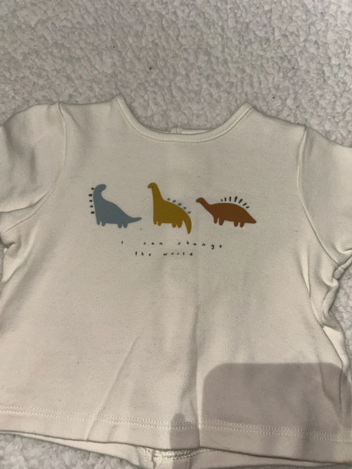 Ensemble bébé dinosaures - photo numéro 3