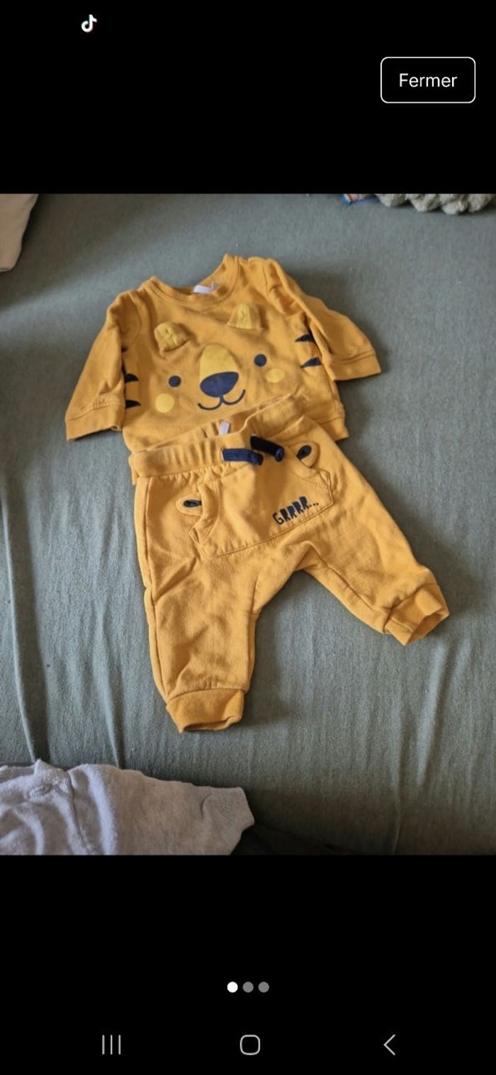 Ensemble tigre
