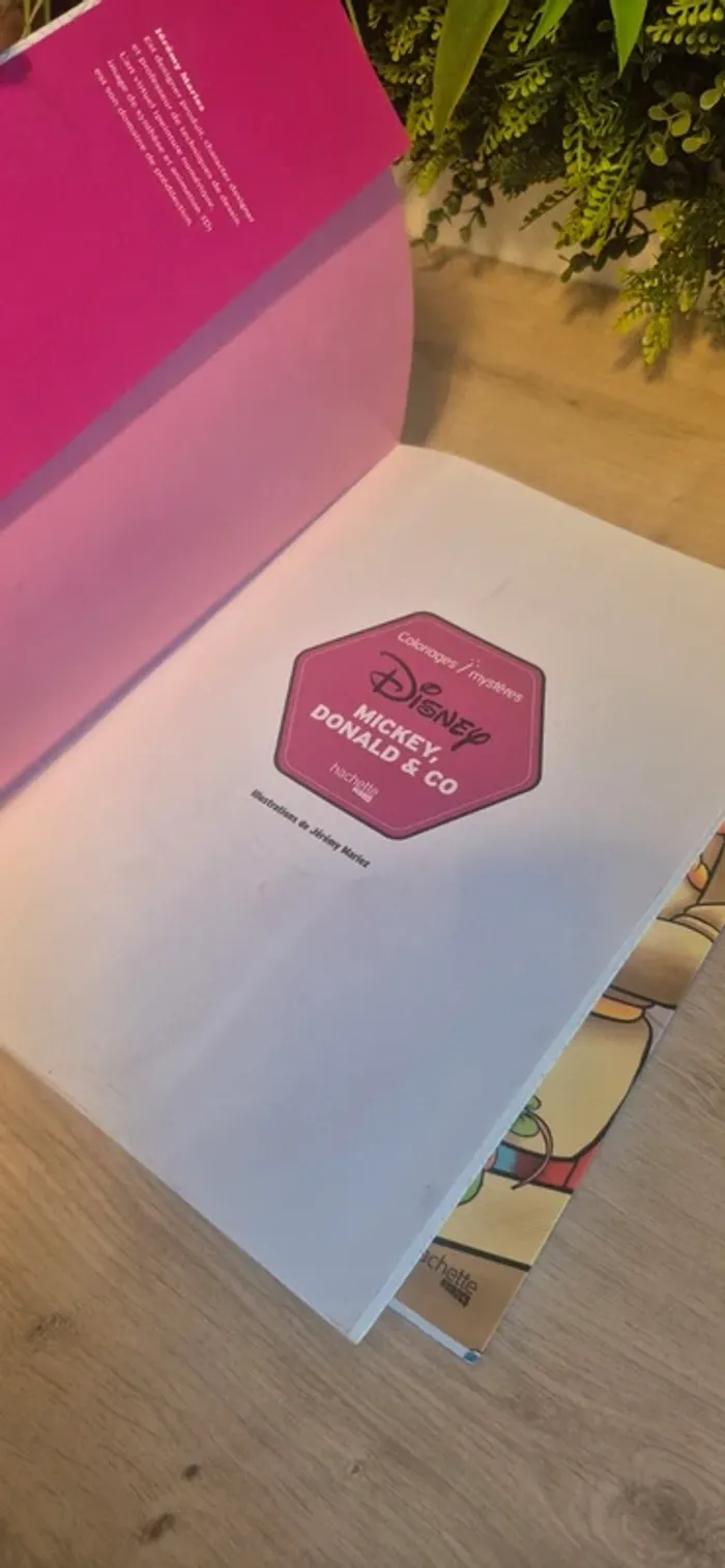 Livre coloriage magique disney - photo numéro 9