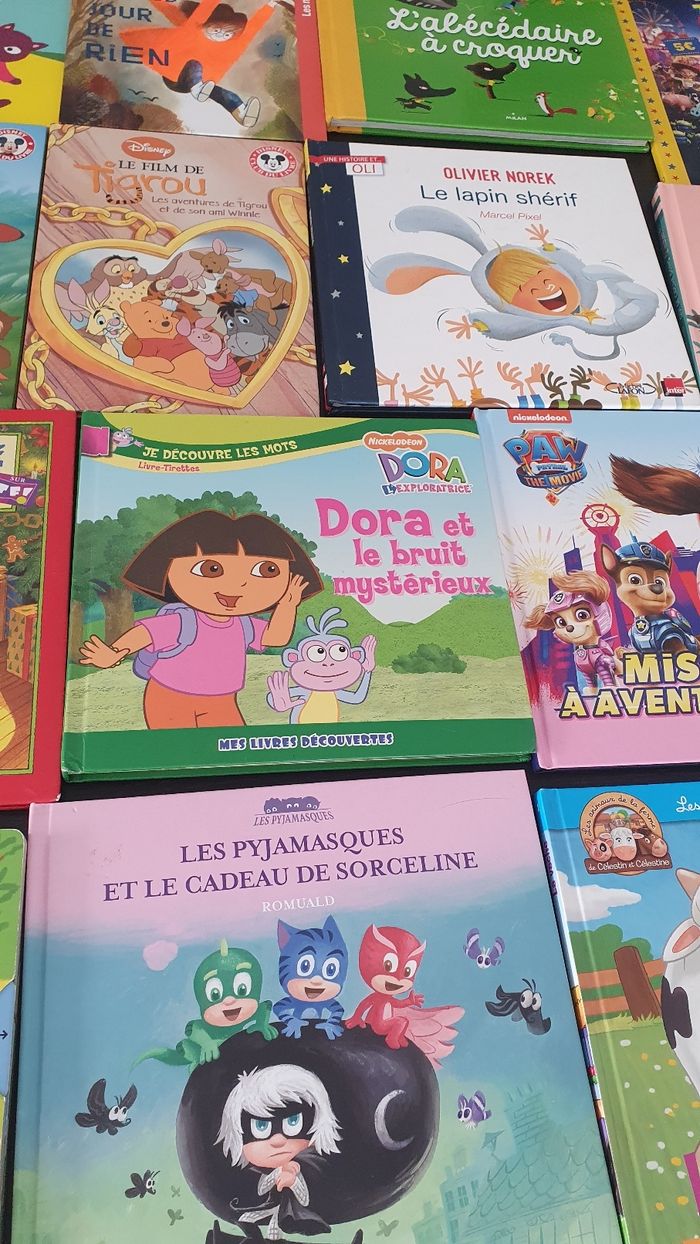 Divers livres pour les petits - photo numéro 8