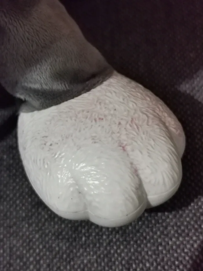 Les toufous, chien foufou. - photo numéro 3