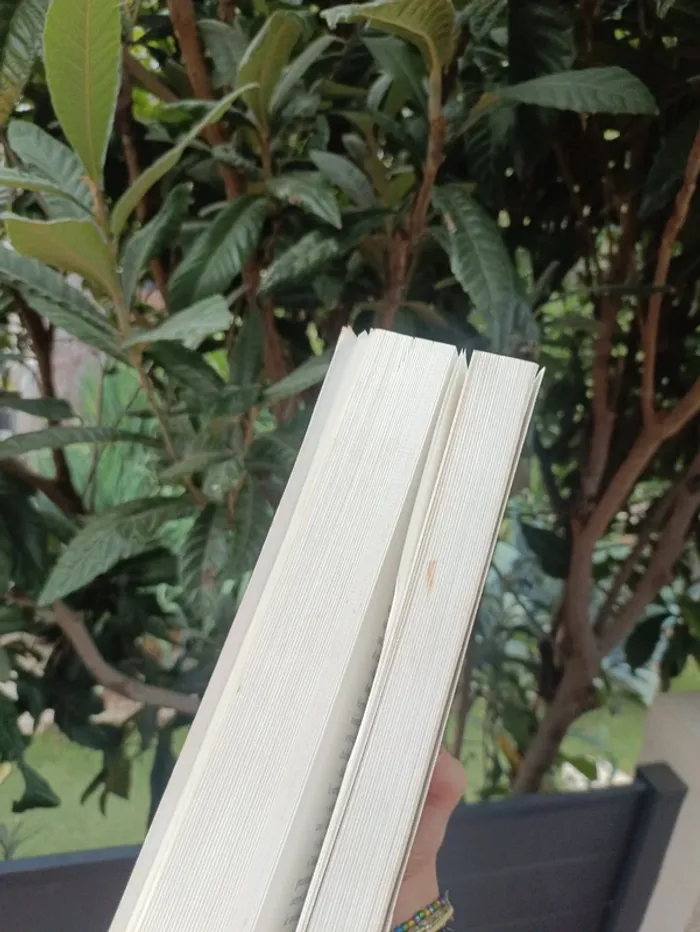Livre Harry Potter de  J.K Rowling tome 5 - photo numéro 6