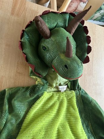 Déguisement dinosaure 2/3 ans 