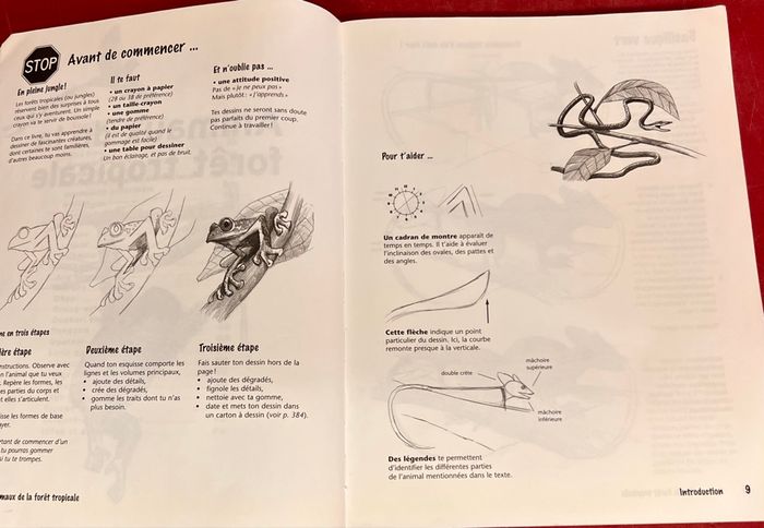 Dessiner pas à pas - photo numéro 4