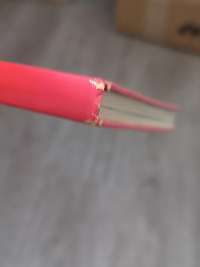 Vintage 40 ans Le livre d'or du football 1983 Charles bietry - photo numéro 7