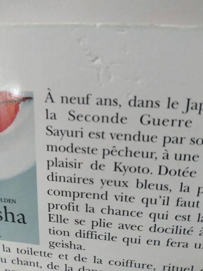 Geisha - photo numéro 7