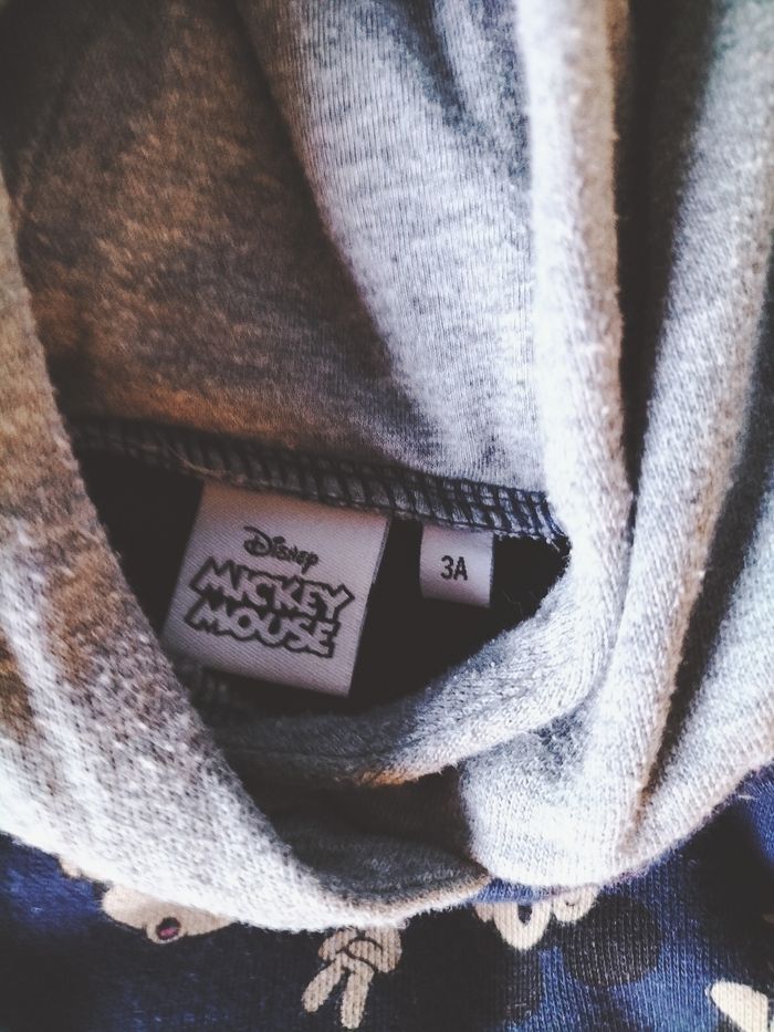 Pull à capuche disney - photo numéro 2