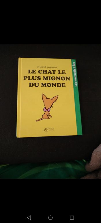 Le chat le plus mignon du monde