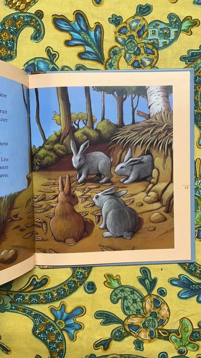 🤩 Le lapin - photo numéro 4