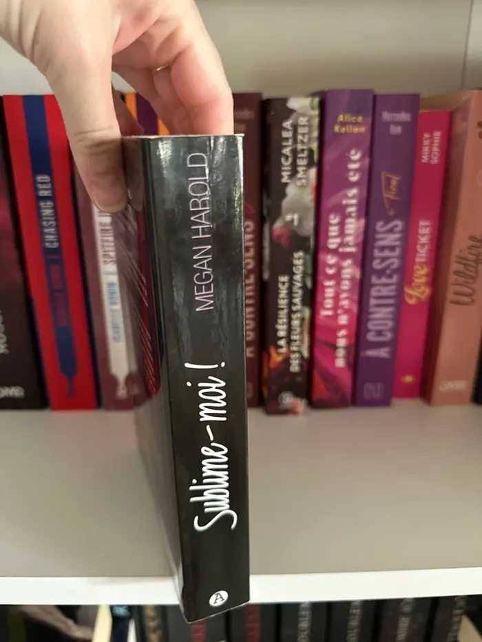 Sublime-moi - photo numéro 4