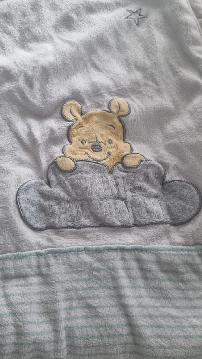 Gigoteuse disney - photo numéro 3