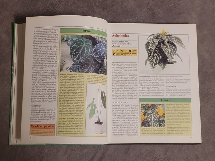 Atlas pratique des plantes d'intérieur - photo numéro 3