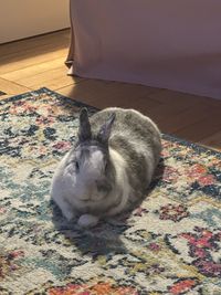 profil du vendeur