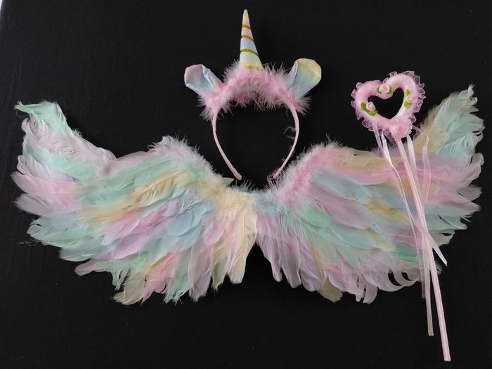 Déguisement robe princesse licorne + aile + serre tête + baguette Taille 3-4ans - photo numéro 2