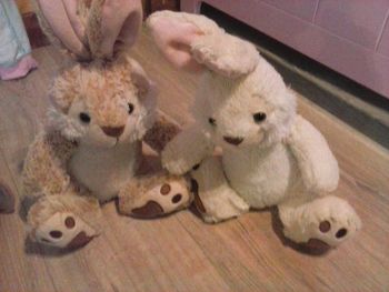 Lapins de paques