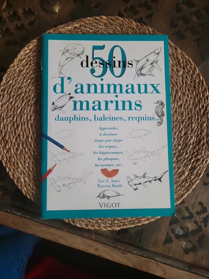 50 dessins d animaux  marins