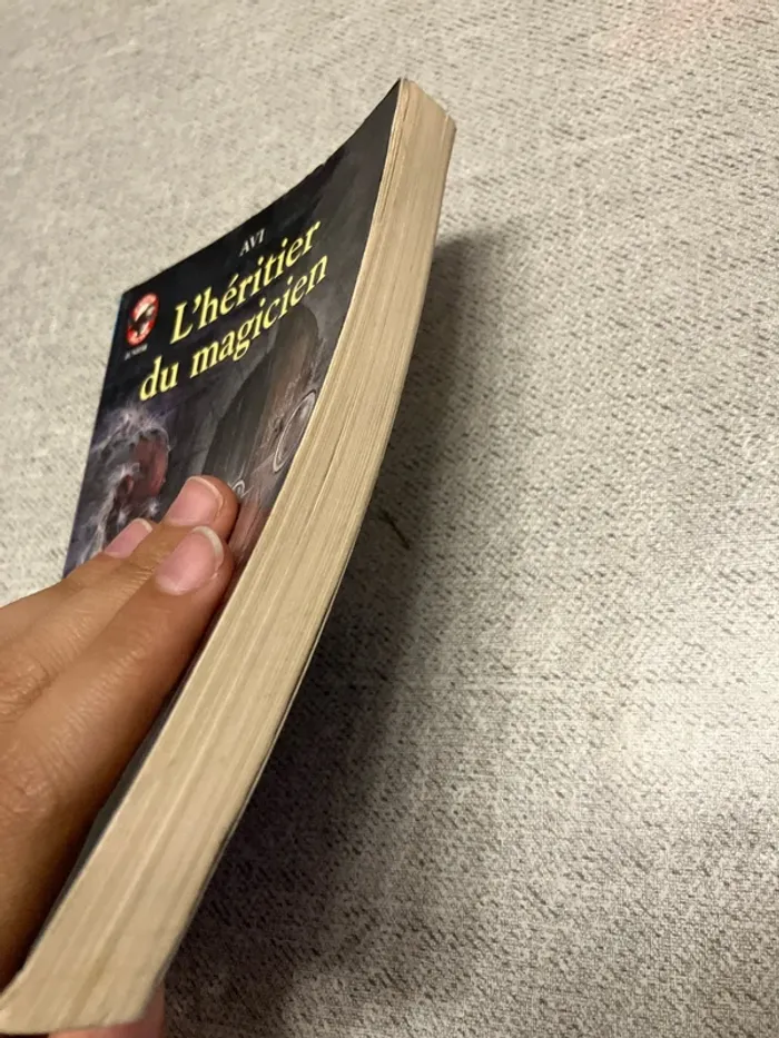 L’Héritier du magicien - AVI - photo numéro 2