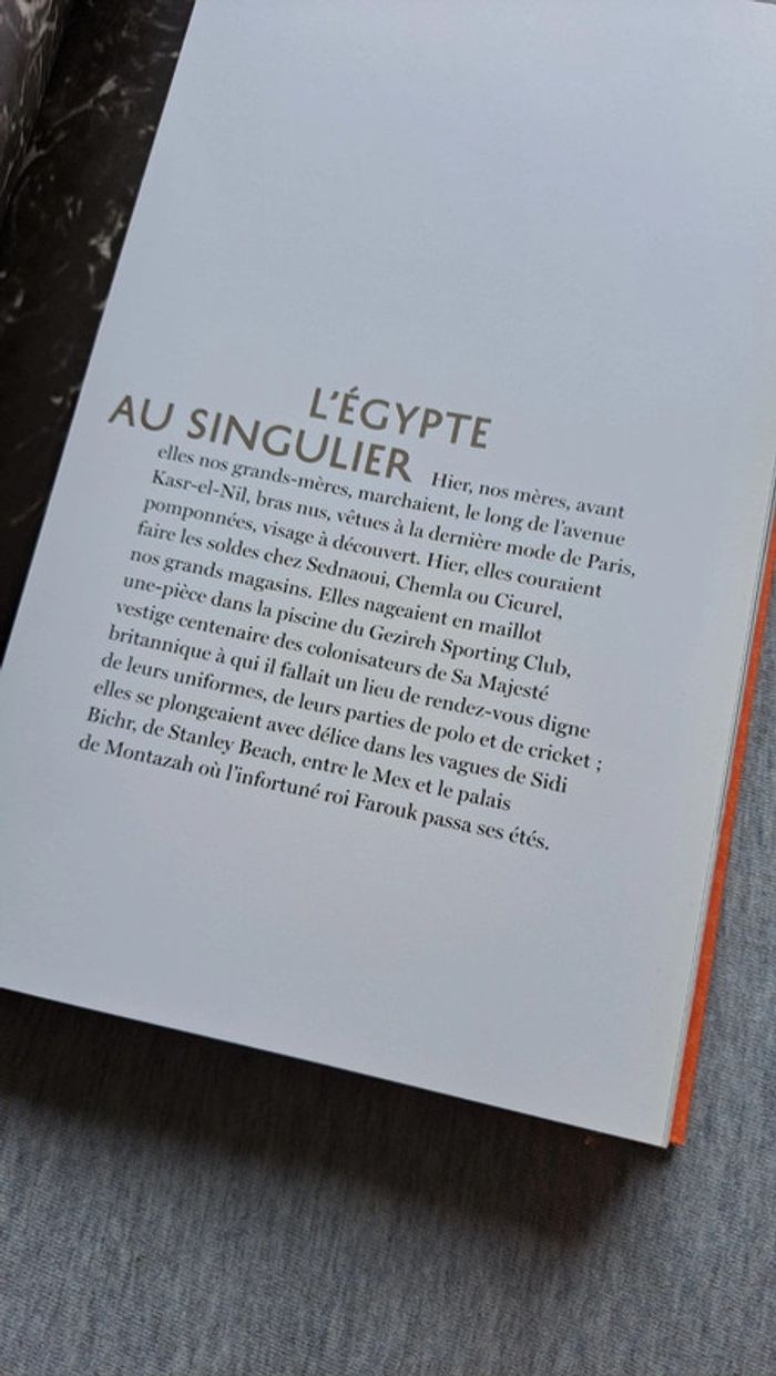 Livre impressions d'Égypte - photo numéro 10