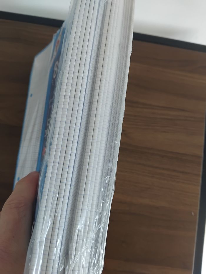 Copies doubles. 17×22 cm grands carreaux - photo numéro 5