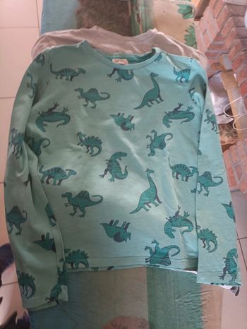 T-shirt manches longues dinosaures 10 ans