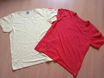 Lot de deux tee shirt taille M