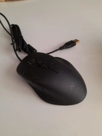 SOURIS