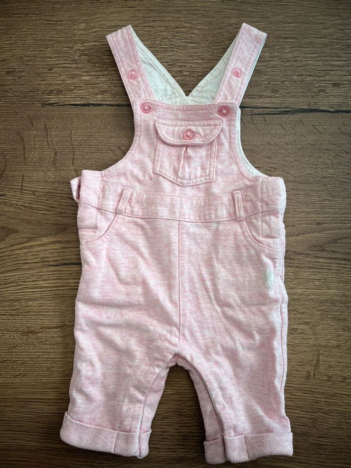 Ensemble - 1 mois - photo numéro 2