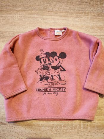 Sweat Disney Baby – 18 mois, doublé polaire