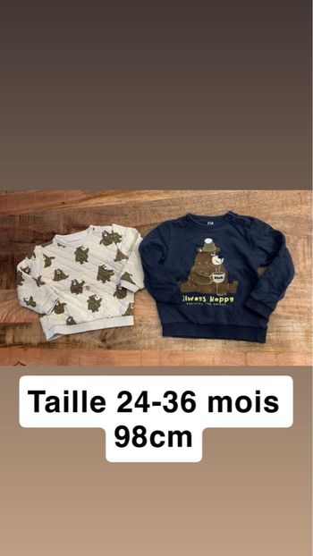 Lot 2 sweats molletonnés