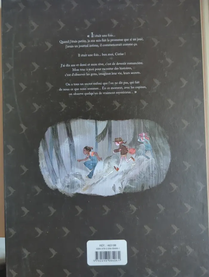Les carnets de Cerise, le zoo pétrifié BD - photo numéro 2