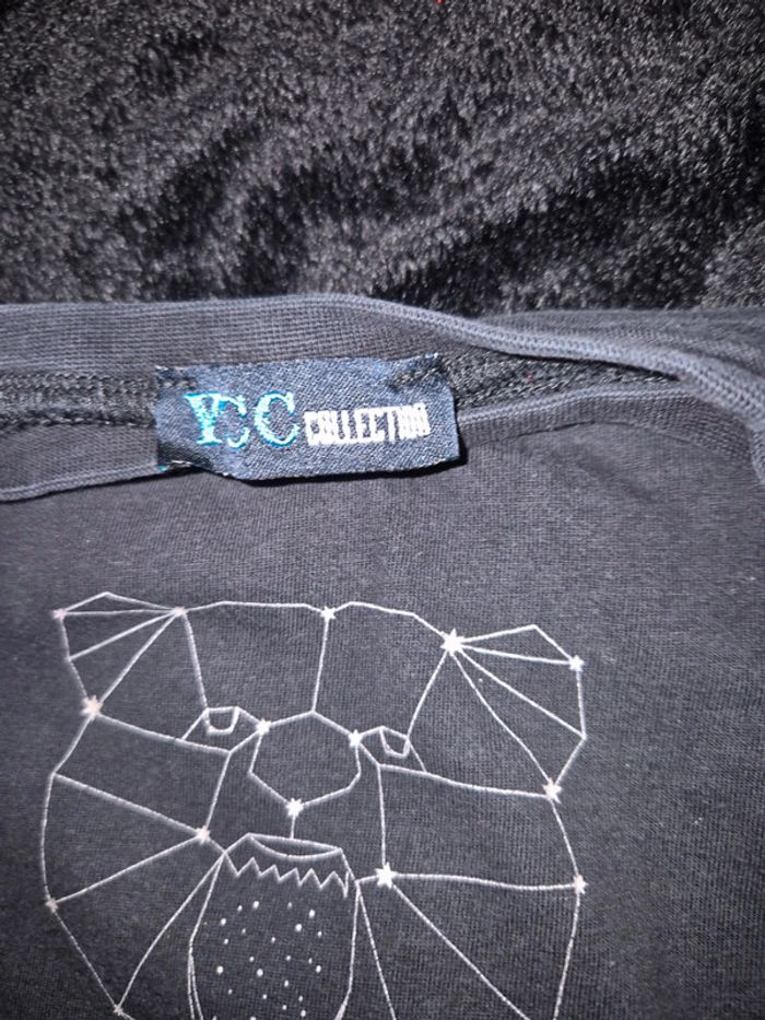 ML ours - photo numéro 3