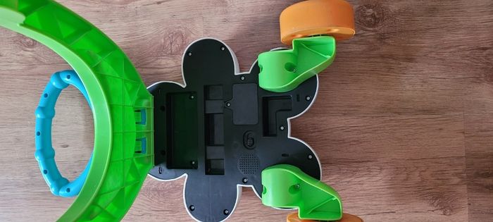 Trotteur zèbre - photo numéro 4