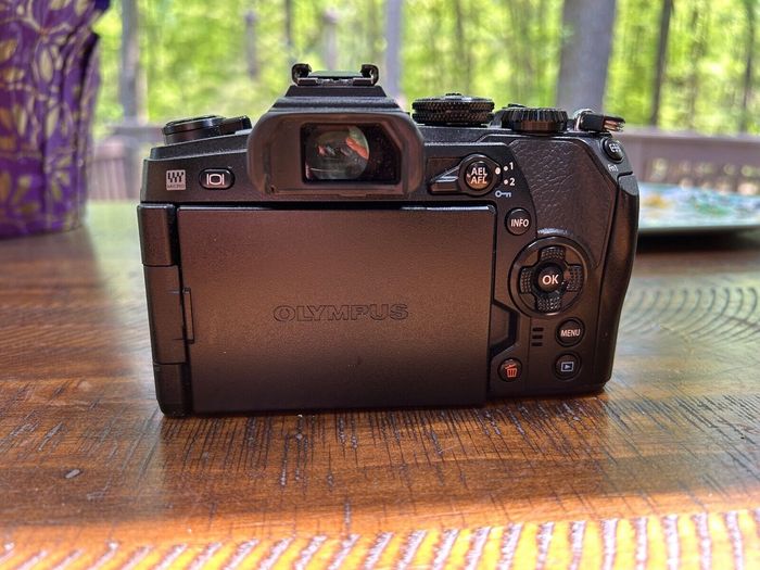 Olympus OM-DE-M1 mark II, avec objectif Olympus 12-40mm f2.8 Pro, 2 batteries - photo numéro 7