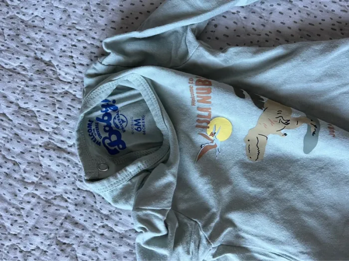Pyjamas et bodies jurassic Park - photo numéro 5