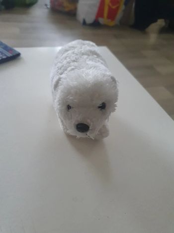Peluche
