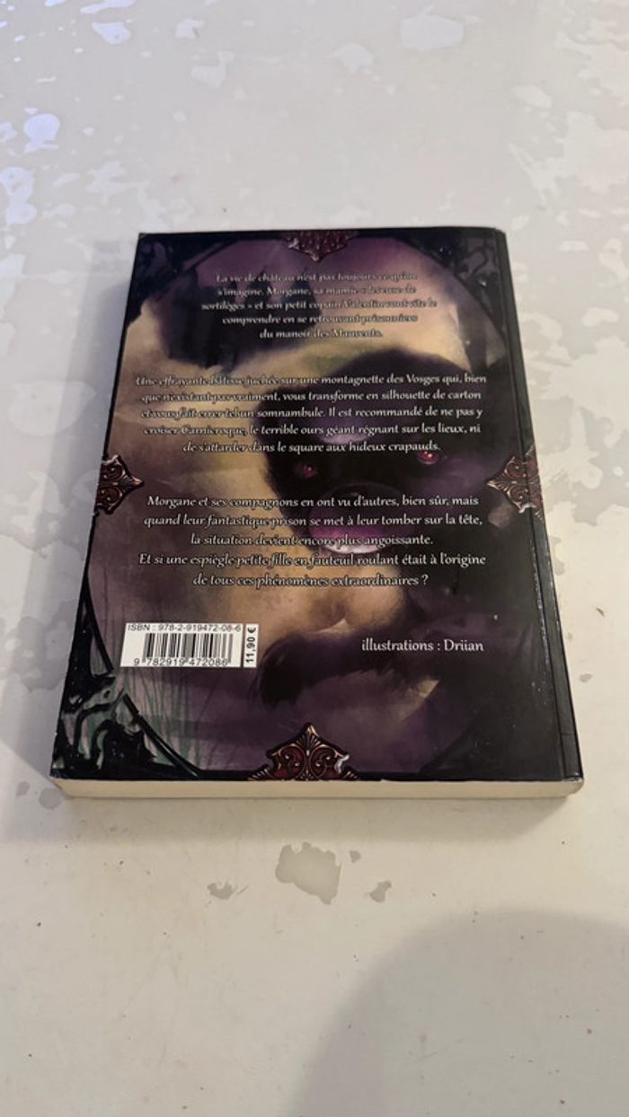Morgane - Le château des somnambules - Brice Tarvel (Éditions Les Lucioles) - photo numéro 4