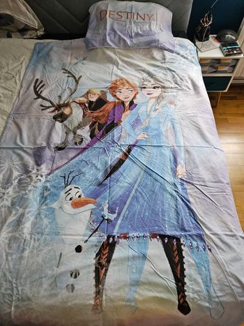 Parure housse de couette 1 personne Reine des Neiges 