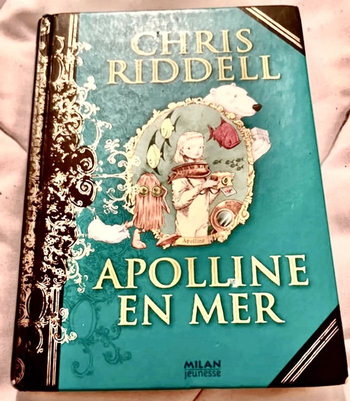Très beau livre pour adulte et ado - photo numéro 2