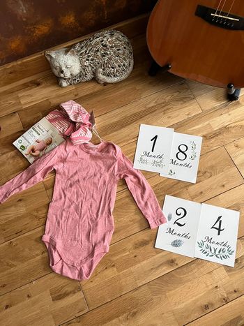 Lot de 2 bodys roses ML lupilu neufs 18-24mois/86-92cm