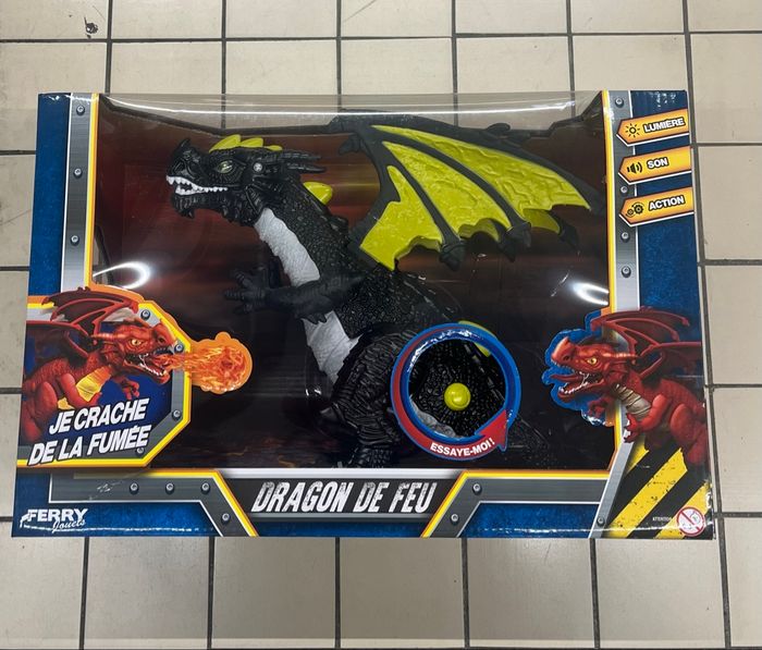 Dragon de feu - photo numéro 2