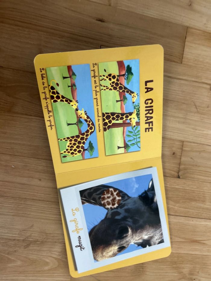 Livre Les animaux de la savane - photo numéro 4