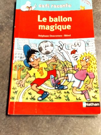 Livre de poche Gafi