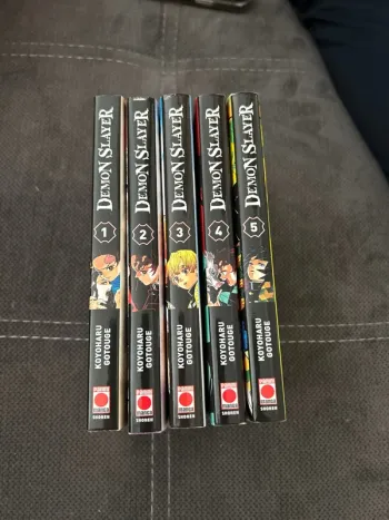 Lot manga Demon Slayer