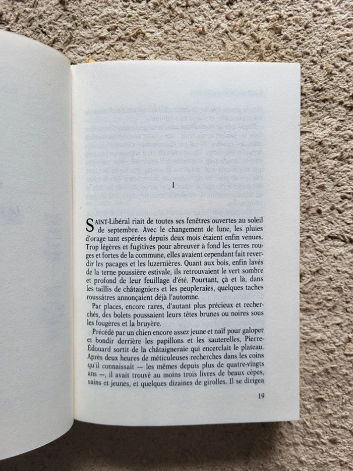 Livre relié "L'appel des engoulevents" de Claude Michelet - photo numéro 7