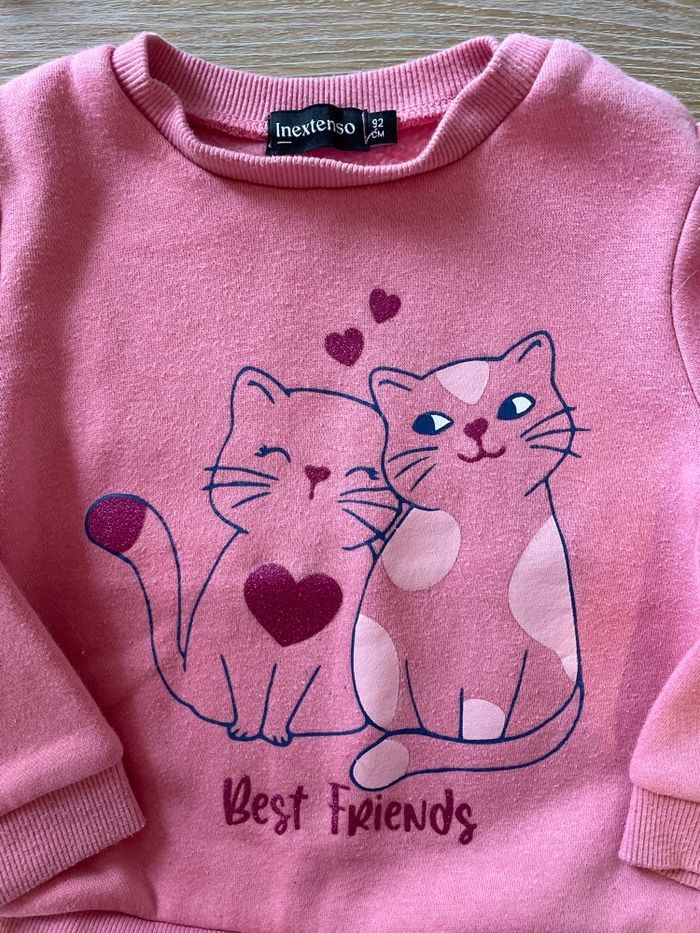 Lot 2 pulls - photo numéro 3