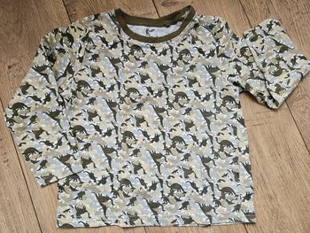 T.shirt manches longues kaki motif dinausores Lupilu 5 ans